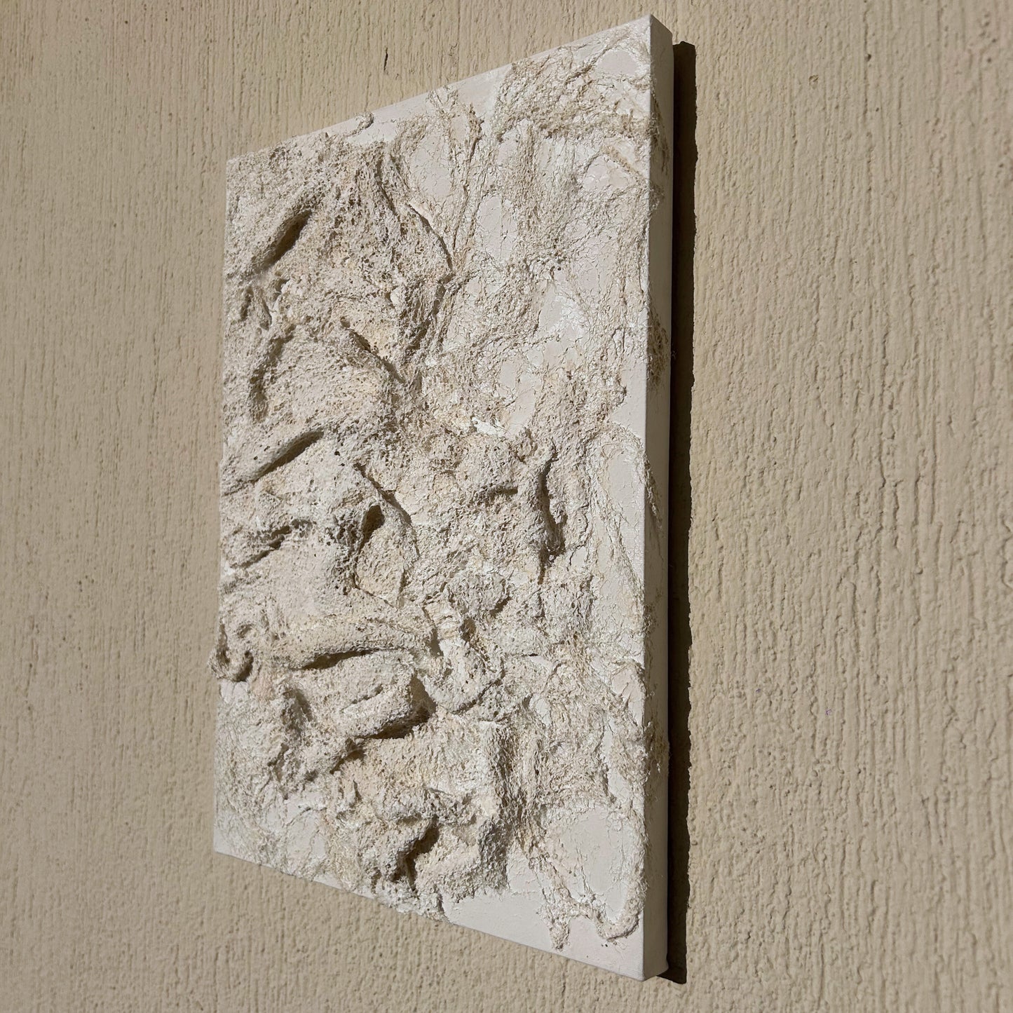 White sculptural canvas art with coral-inspired texture, shown flat against a beige wall.