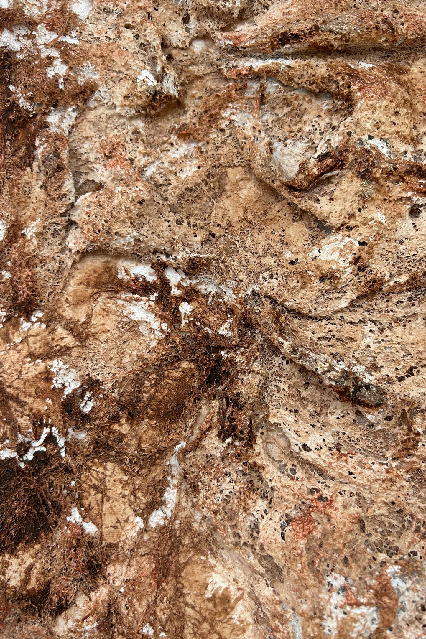 Close-up detail of the earthy textured surface and organic plaster layers.