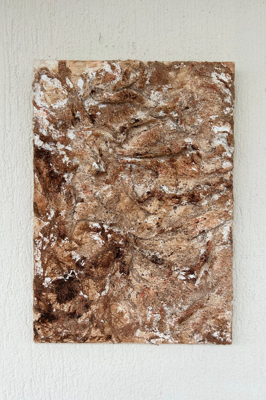 Earth-toned plaster wall canvas with sculptural texture in mocha and copper hues.