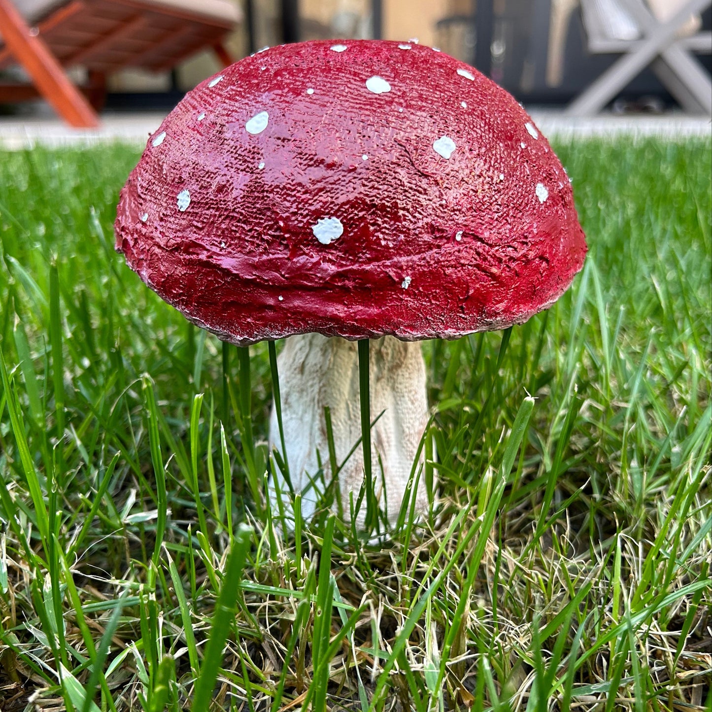 Handmade mushroom placed on garden grass with natural outdoor lighting