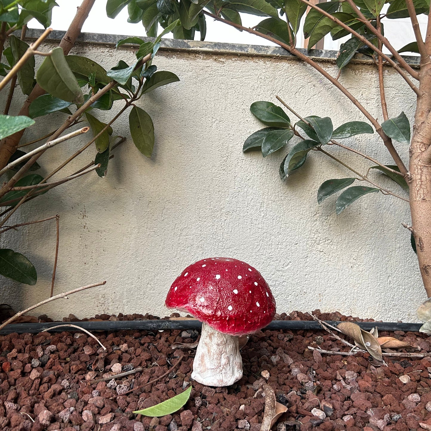 Small mushroom decor placed on a wooden shelf with neutral background