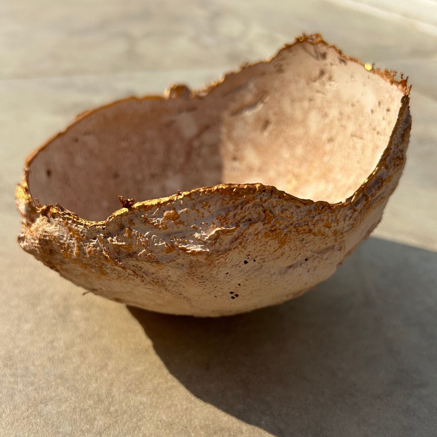 Side view of the bowl revealing irregular coral-like rim and rustic surface under sunlight.